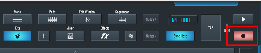 This is an image showing the record mode in RitMix.