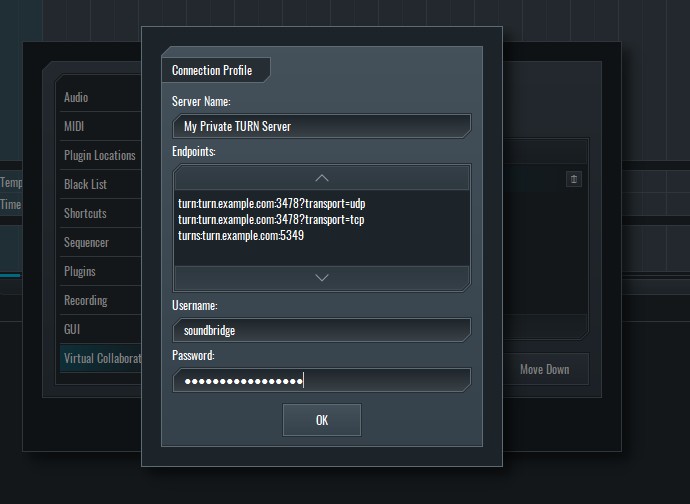 SoundBridge software interface showing the Connection Profile settings window, where a user has entered 'My Private TURN Server' as the server name, configured three distinct WebRTC TURN/STUN endpoints, and provided the username and password for private server authentication.